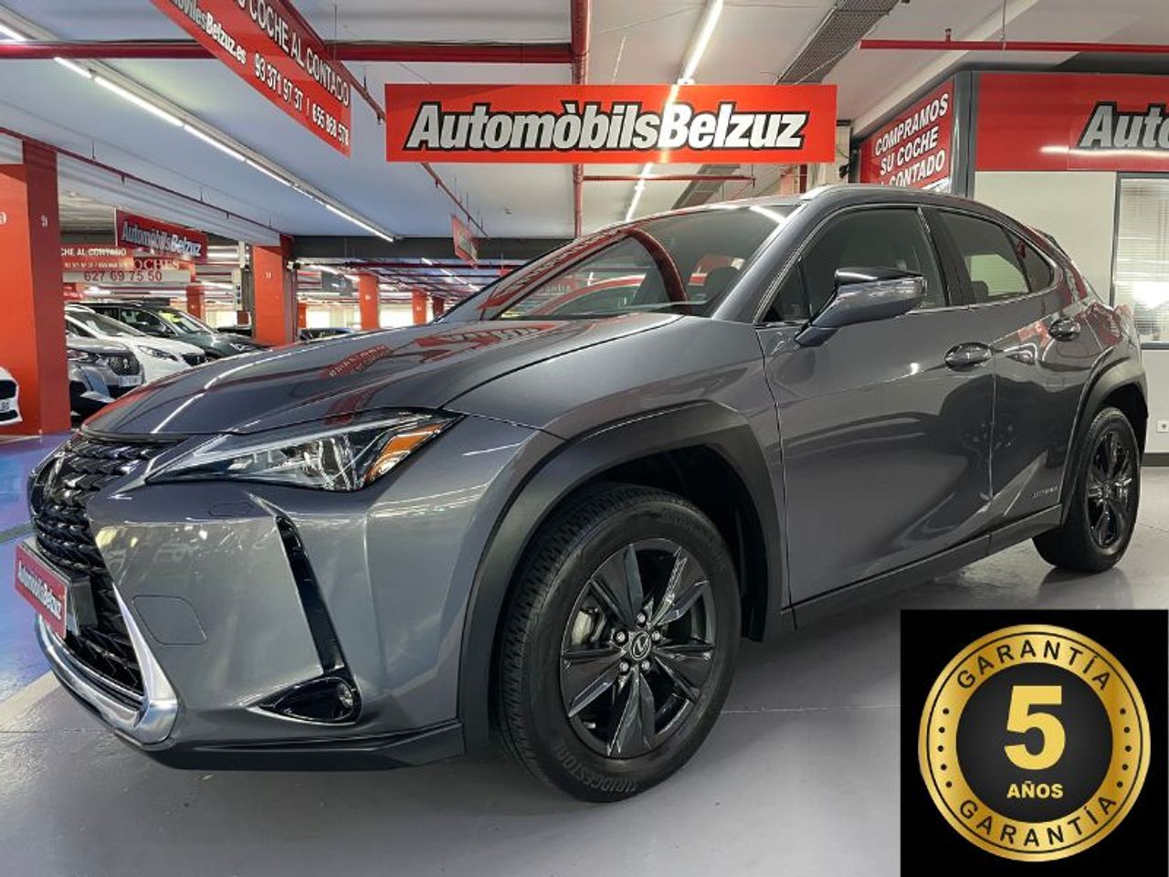 Lexus UX 5 AÑOS GARANTÍA   - Foto 1