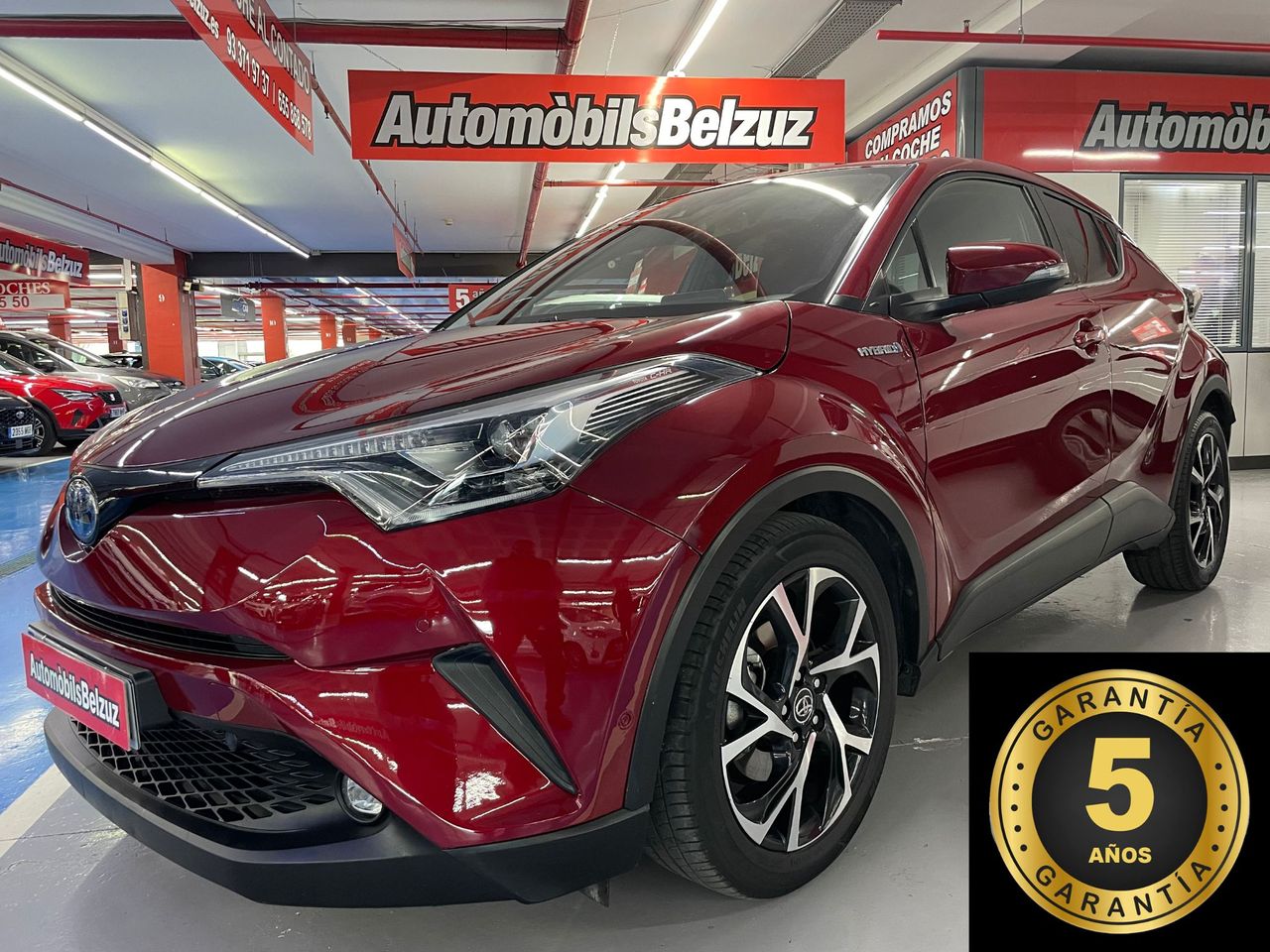 Toyota C-HR 5 AÑOS GARANTÍA    - Foto 1