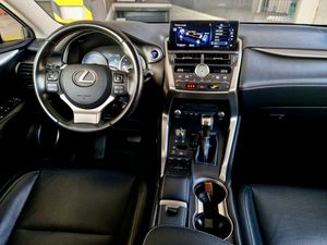 Lexus NX 300h - Foto 20