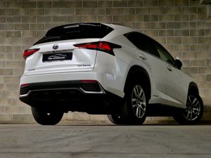 Lexus NX 300h - Foto 10