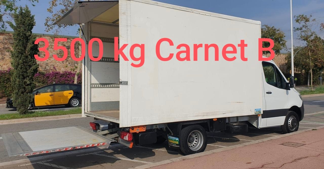 Mercedes Sprinter 516 LARGO  CON PUERTA ELEVADORA  3.5 T   - Foto 1