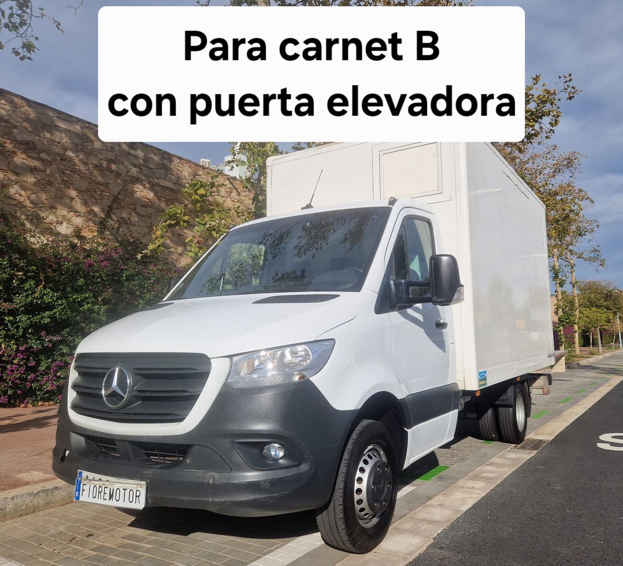 Mercedes Sprinter 516 LARGO  CON PUERTA ELEVADORA  3.5 T   - Foto 1