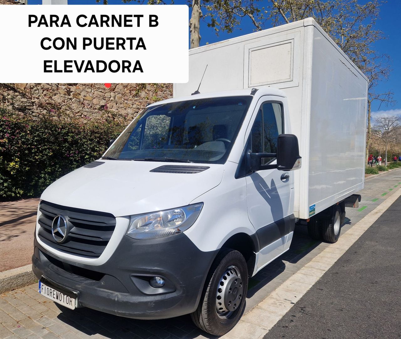 Mercedes Sprinter 516 LARGO  CON PUERTA ELEVADORA  3.5 T  - Foto 1