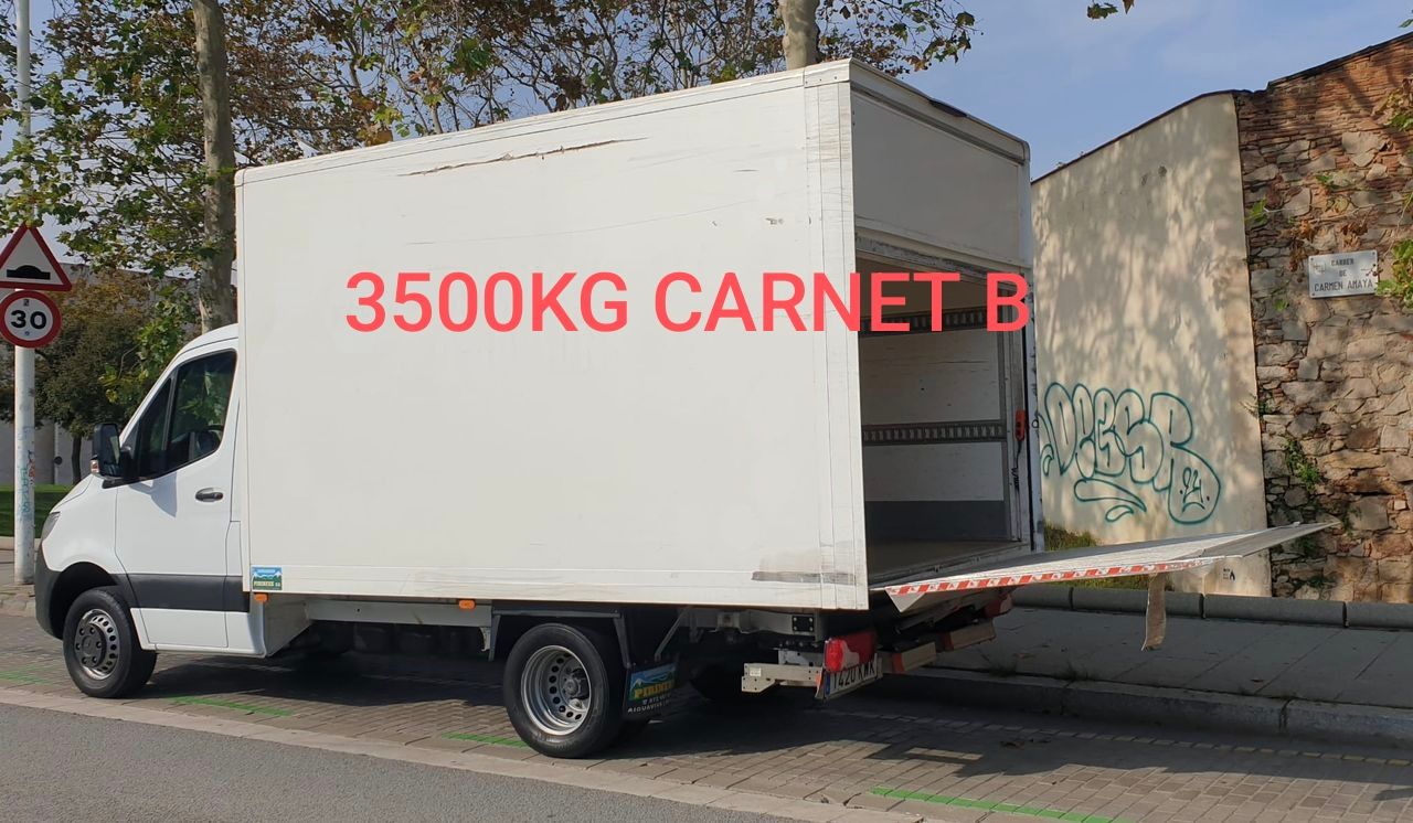 Mercedes Sprinter 516 LARGO  CON PUERTA ELEVADORA  3.5 T   - Foto 1