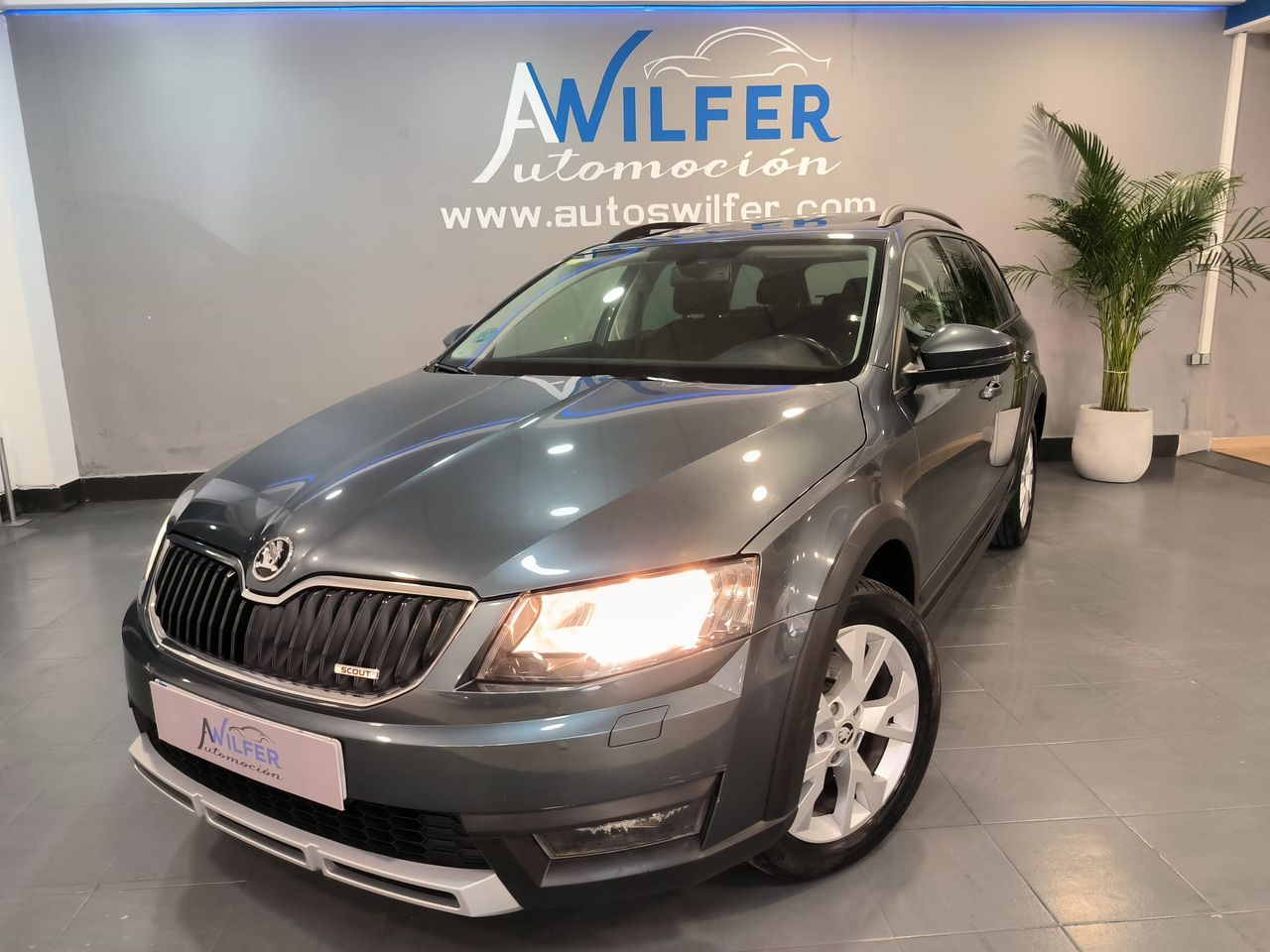 Skoda Scout 2.0 TDI CR 135KW 184cv DSG 4x4   - Foto 1