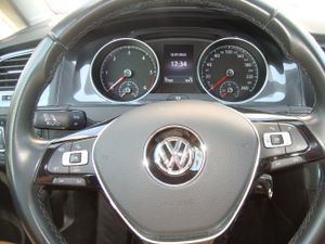 Volkswagen Golf 1.6 TDI ADVANCE 115 CV 5 P   - Foto 3