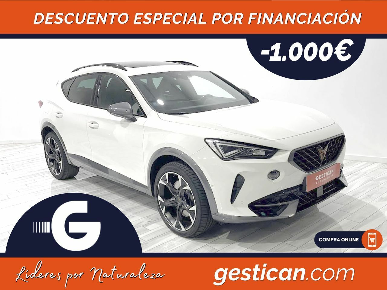 Cupra Formentor 2.0 TSI 228kW (310 CV) VZ 4Drive DSG G0208  - Foto 1