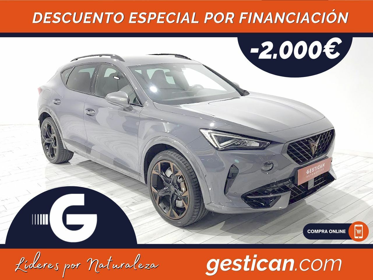 Cupra Formentor 2.0 TSI 228kW (310 CV) VZ 4Drive DSG G4109  - Foto 1