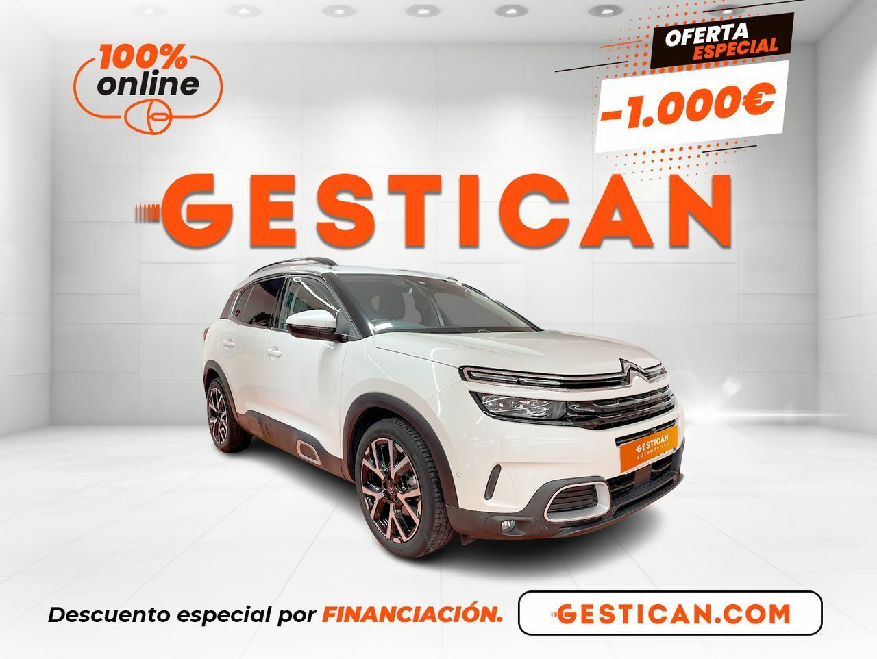 Citroën C5 Aircross PureTech 96kW (130CV) S&S C Series G1839  - Foto 1