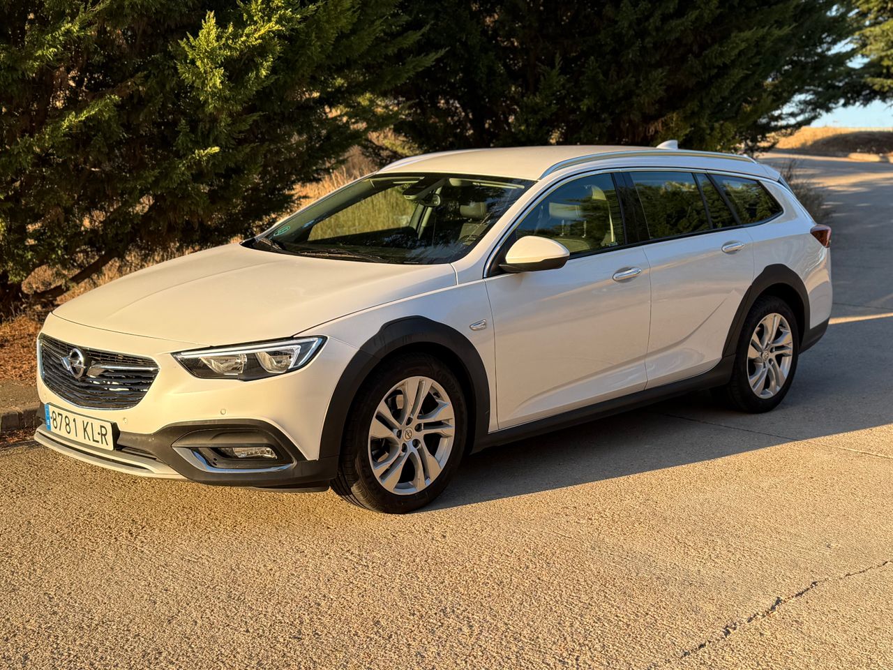 Opel Insignia Sports Tourer 2.0 CDTI Biturbo 4x4 Auto   - Foto 1