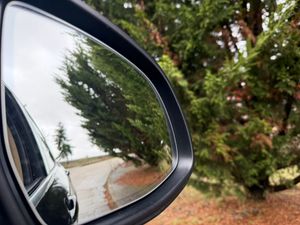 BMW X4 xDrive35i - Foto 64