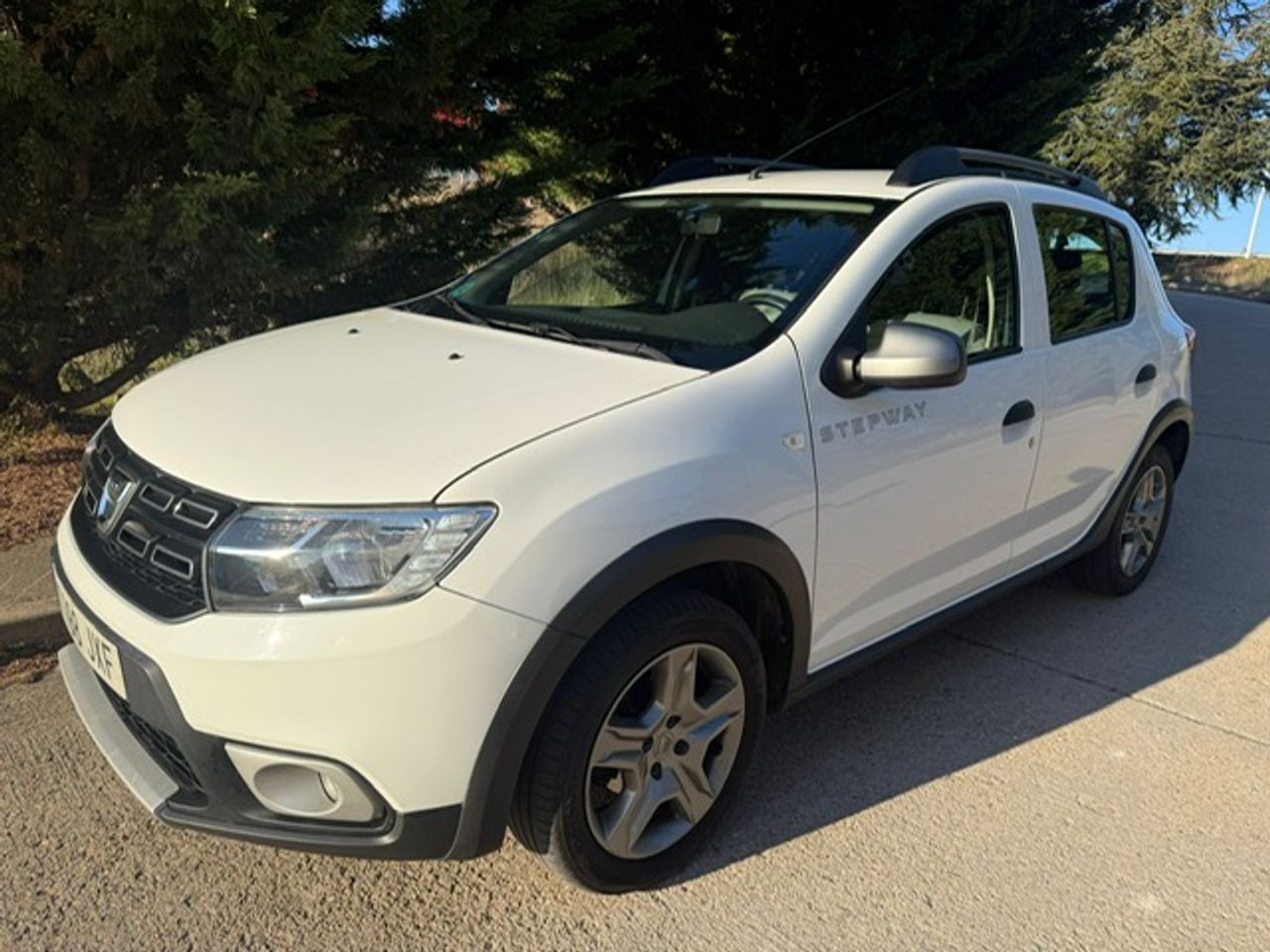 Dacia Sandero Stepway Comfort Blue dCi 70 kW (95 CV) - Foto 1