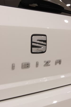 Seat Ibiza 1.0 TSI 81 kW (110 CV) DSG Xcellence Plus - Foto 10