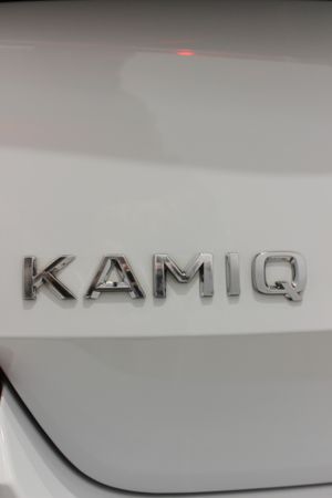 Skoda Kamiq Selection 1.5 TSI 110 kW (150 CV) DSG - Foto 21
