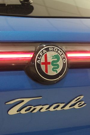 Alfa Romeo Tonale 1.6 Diesel 130 TCT Sprint - Foto 28