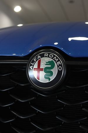 Alfa Romeo Tonale 1.6 Diesel 130 TCT Sprint - Foto 26