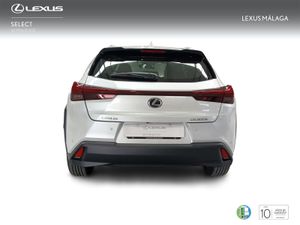 Lexus UX 300e e-UX  - Foto 5