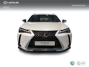 Lexus UX 300e e-UX  - Foto 6