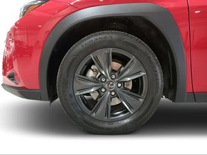 Lexus UX 2.0 300h UX Plus  - Foto 11