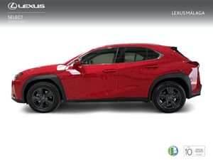 Lexus UX 2.0 300h UX Plus  - Foto 4