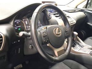 Lexus NX 2.5 300h Business Navigation 2WD  - Foto 18