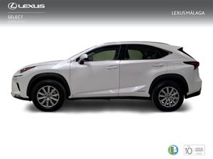 Lexus NX 2.5 300h Business Navigation 2WD  - Foto 4