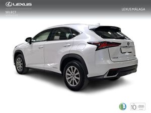 Lexus NX 2.5 300h Business Navigation 2WD  - Foto 3