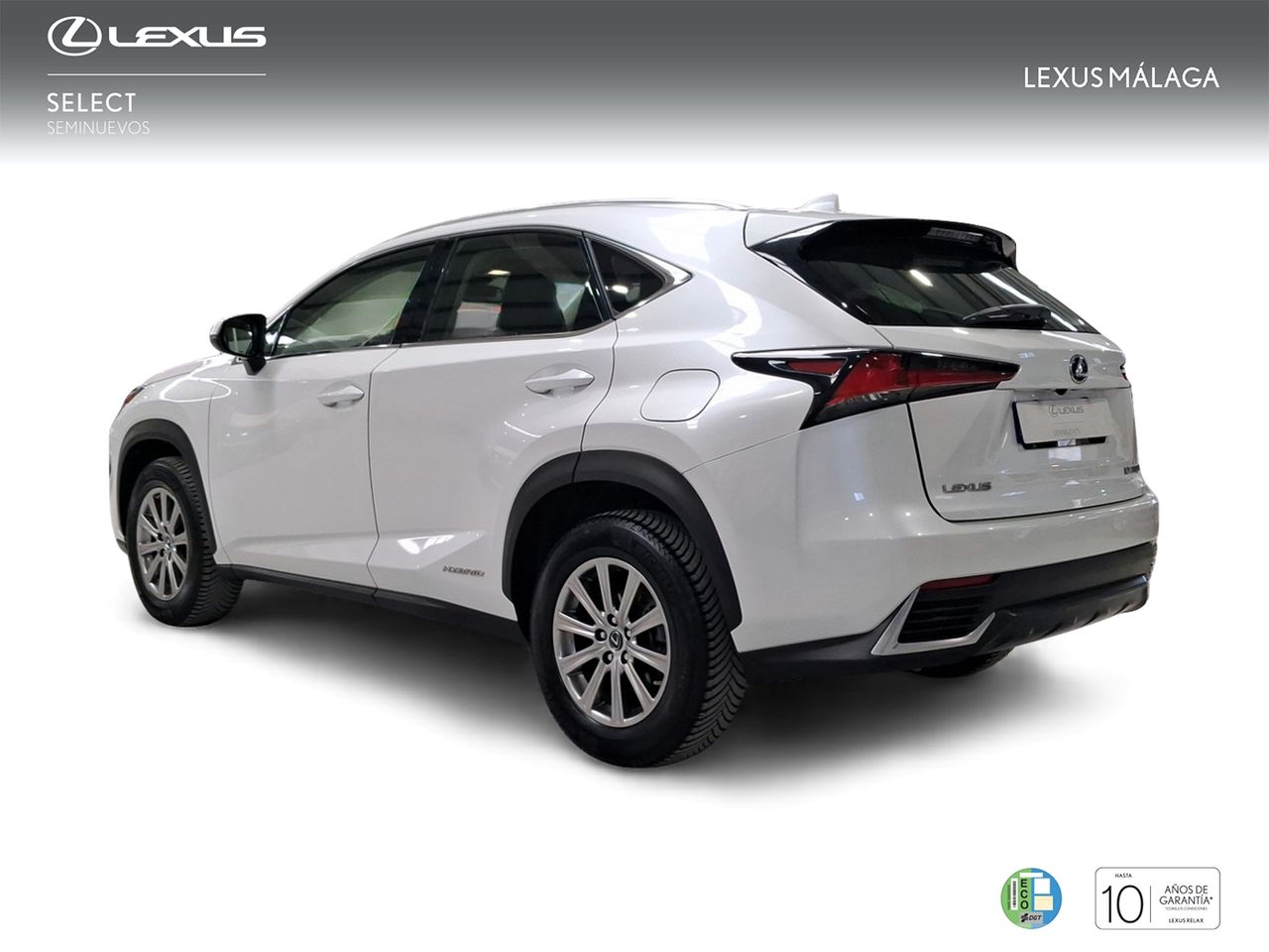 Lexus NX 2.5 300h Business Navigation 2WD  - Foto 3