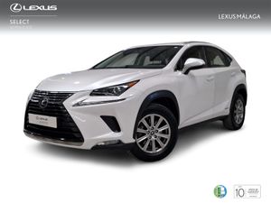 Lexus NX 2.5 300h Business Navigation 2WD  - Foto 2