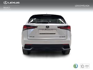 Lexus NX 2.5 300h Business Navigation 2WD  - Foto 5