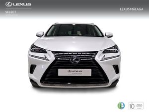 Lexus NX 2.5 300h Business Navigation 2WD  - Foto 6