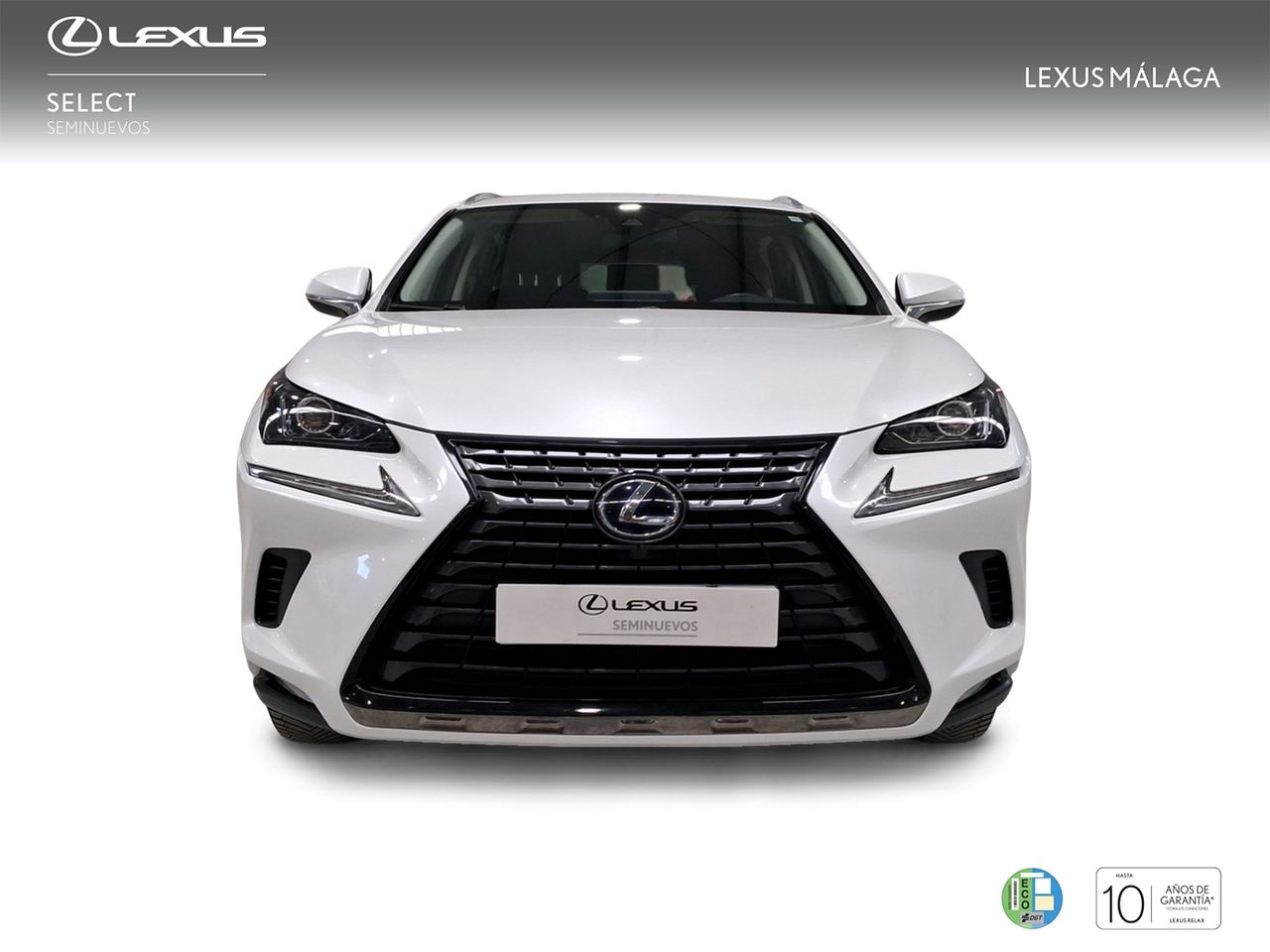 Lexus NX 2.5 300h Business Navigation 2WD  - Foto 6