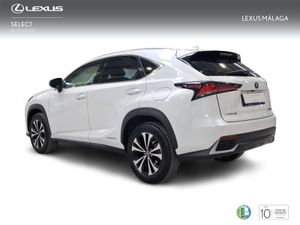Lexus NX 2.5 300h Premium 2WD  - Foto 3