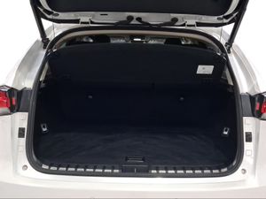 Lexus NX 2.5 300h Premium 2WD  - Foto 10