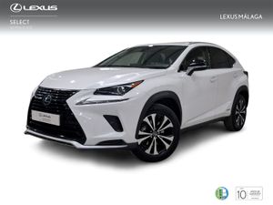 Lexus NX 2.5 300h Premium 2WD  - Foto 2
