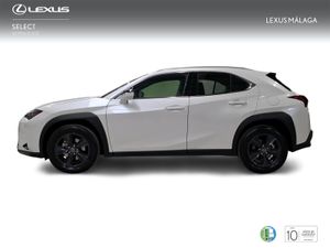 Lexus UX 2.0 300h UX Plus  - Foto 4