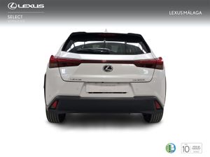 Lexus UX 2.0 300h UX Plus  - Foto 5