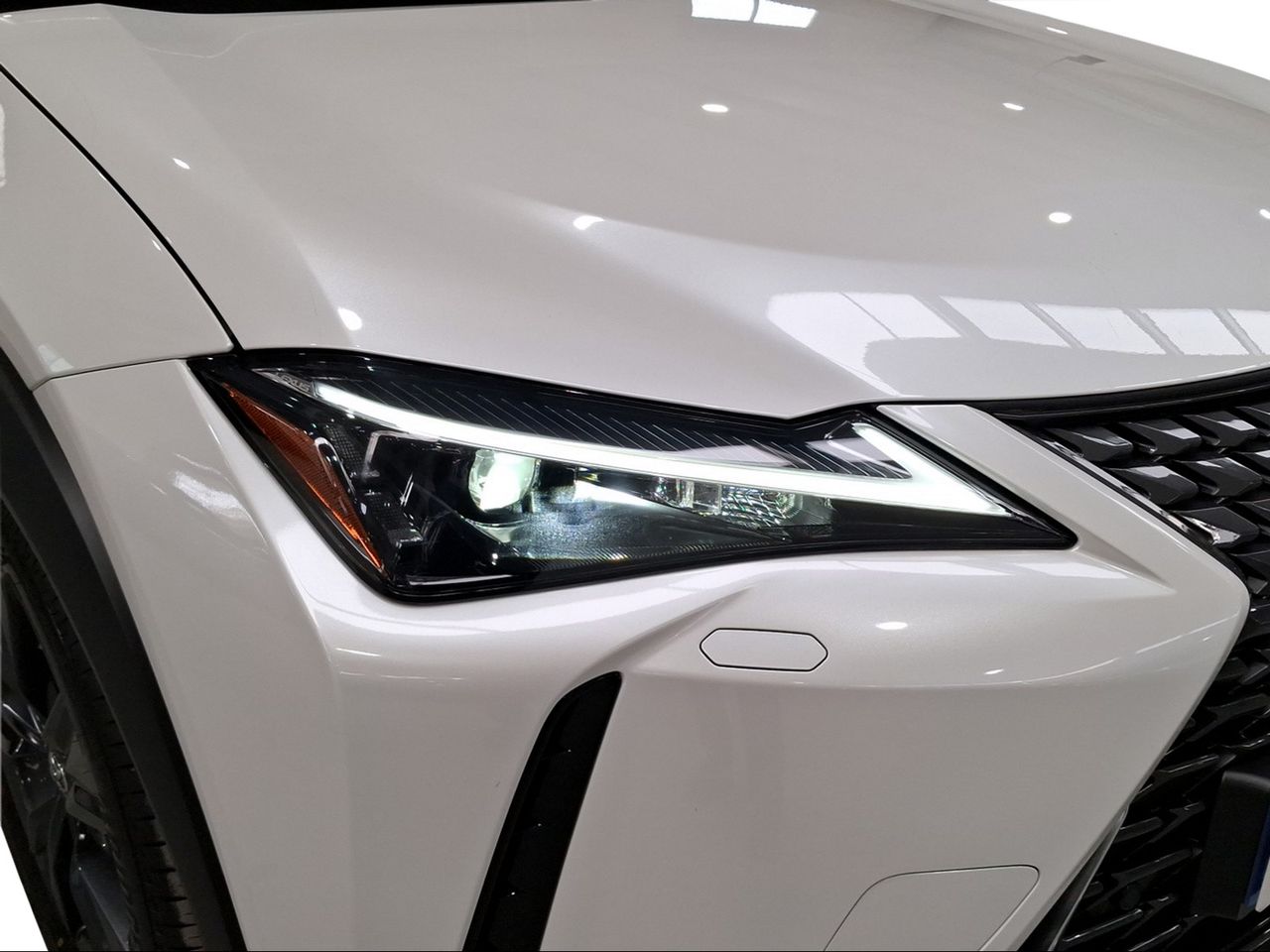 Lexus UX 2.0 300h UX Plus  - Foto 19