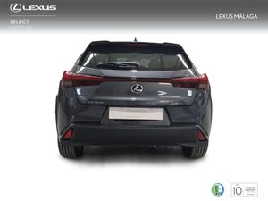 Lexus UX 2.0 300h UX Plus  - Foto 5