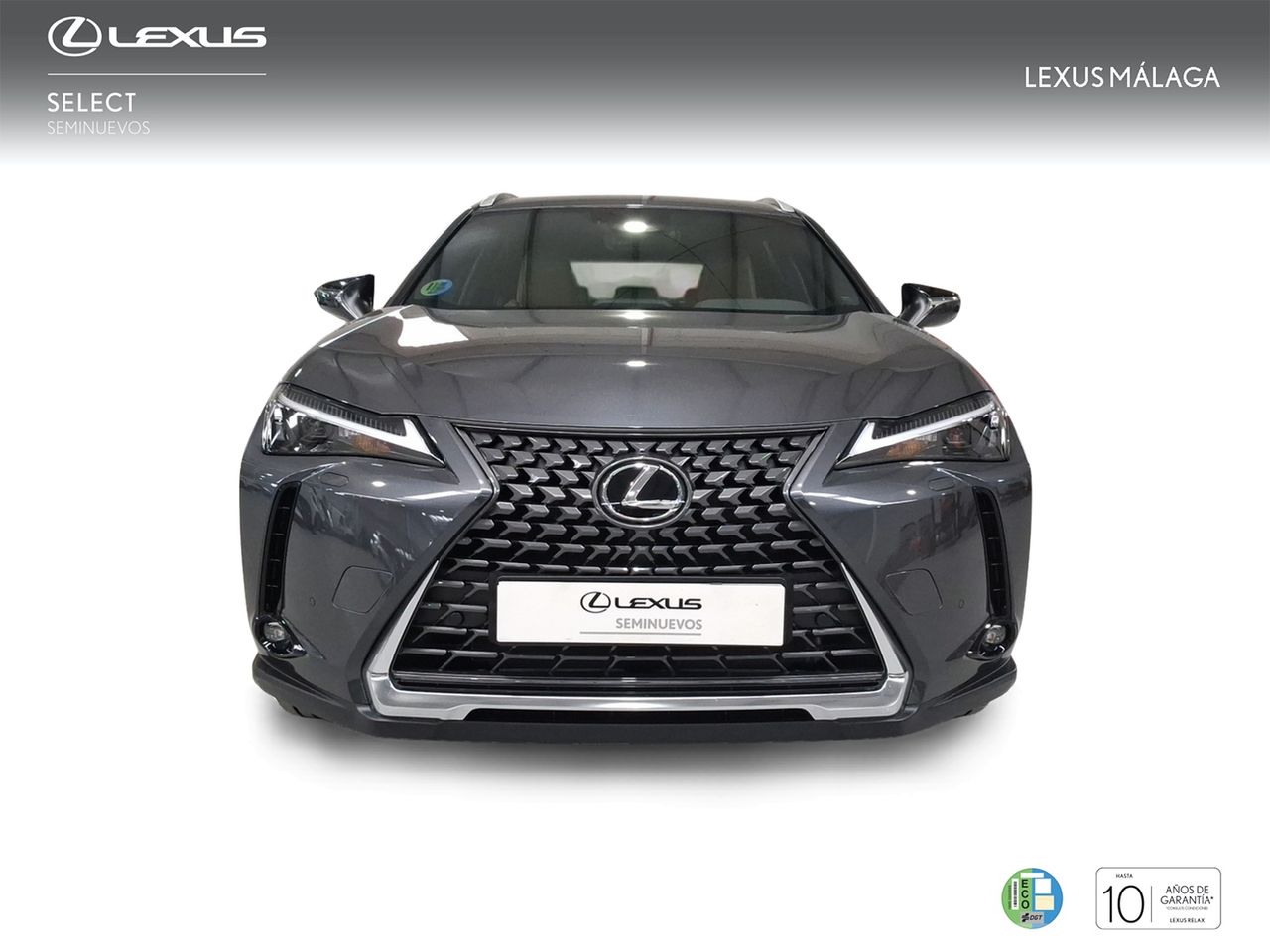 Lexus UX 2.0 300h UX Plus  - Foto 6