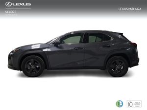 Lexus UX 2.0 300h UX Plus  - Foto 4