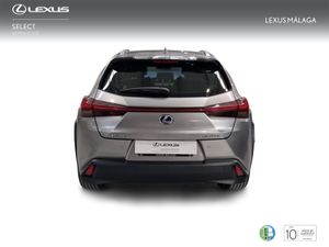 Lexus UX 2.0 250h Premium  - Foto 5