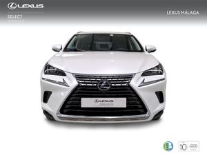 Lexus NX 2.5 300h Executive Navigation 4WD  - Foto 6