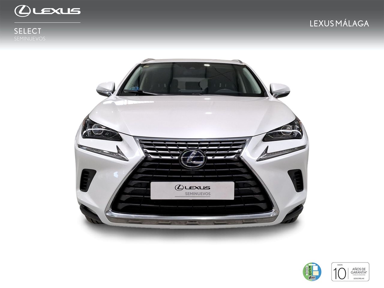 Lexus NX 2.5 300h Executive Navigation 4WD  - Foto 6