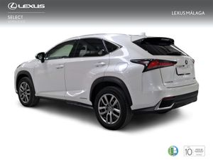 Lexus NX 2.5 300h Executive Navigation 4WD  - Foto 3