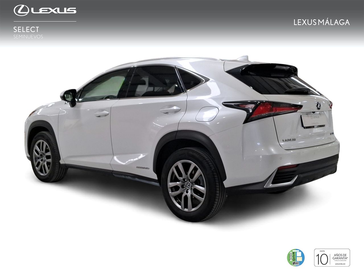 Lexus NX 2.5 300h Executive Navigation 4WD  - Foto 3