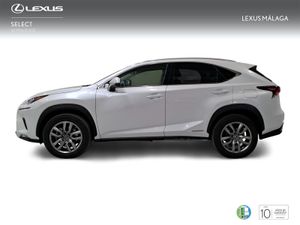 Lexus NX 2.5 300h Executive Navigation 4WD  - Foto 4