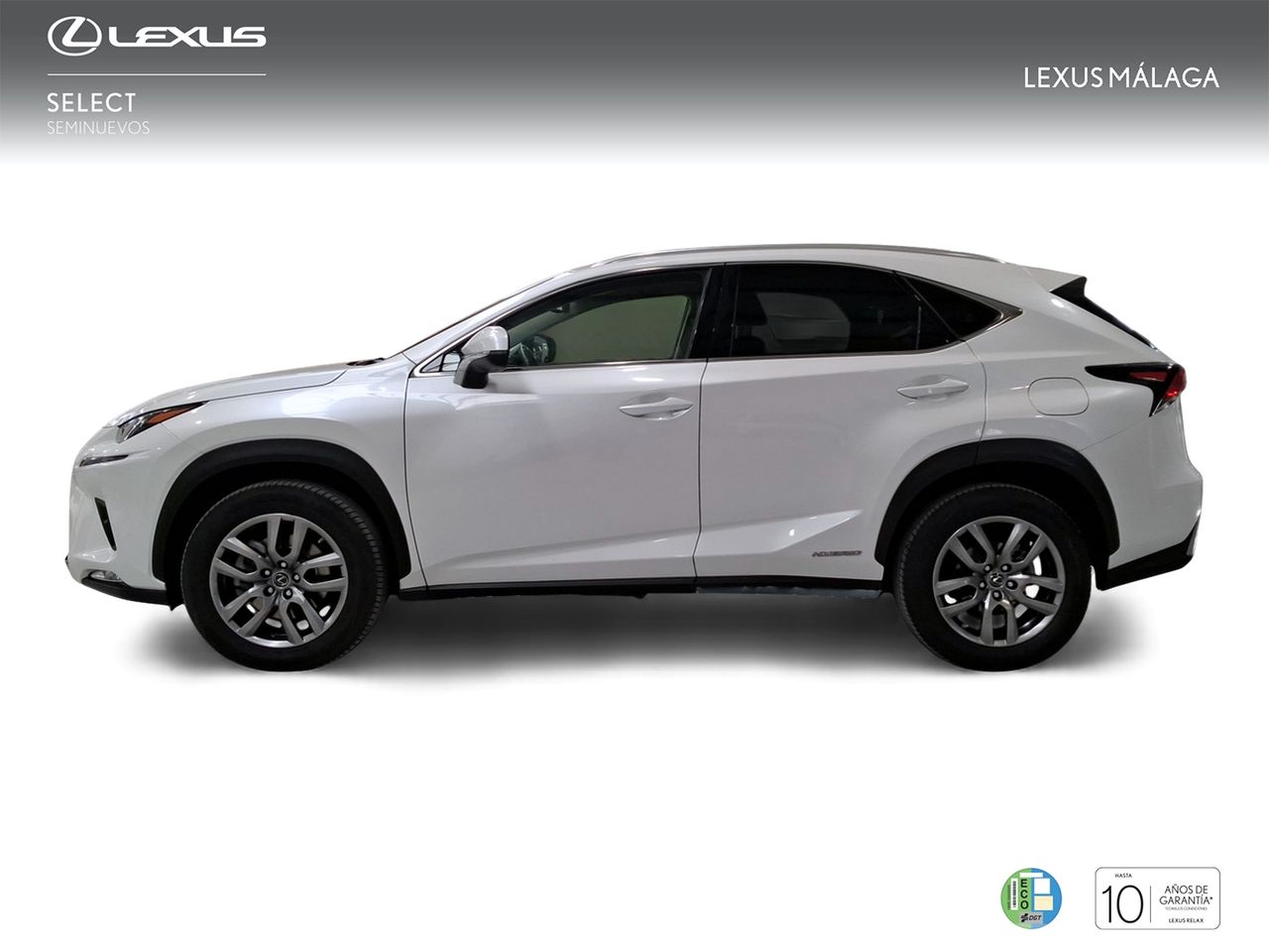 Lexus NX 2.5 300h Executive Navigation 4WD  - Foto 4