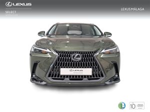 Lexus NX 450h+ Premium+ 4WD  - Foto 6