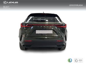 Lexus NX 450h+ Premium+ 4WD  - Foto 5